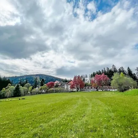 Pod Prokopem Apartamento *